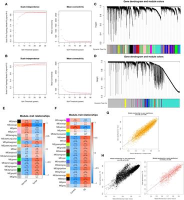 Weighted gene co-expression network analysis and whole genome sequencing identify potential lung cancer biomarkers
